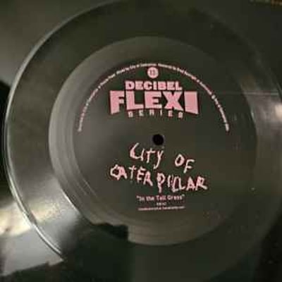 City Of Caterpillar - In The Tall Grass