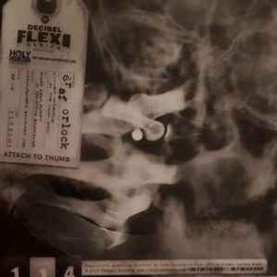 Graf Orlock - Violent Ultimatum At The Local Dojo