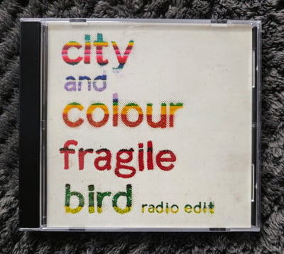 Fragile Bird