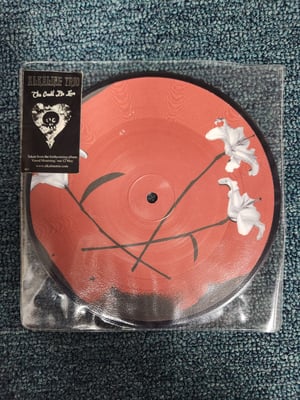 Alkaline Trio - This Could Be Love | Picture Disc (UK exclusive) | 2003 | AK31