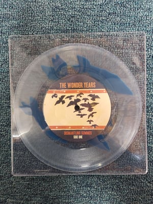The Wonder Years - Dismantling Summer (Bombs) Bonus 7" | Picture Disc | /800 | 2013 | HR9771
