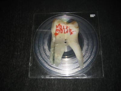 Holy Molar - s/t (10" 1st Press clear picture disc YA)