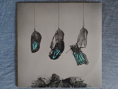 Lightworker - How The Beautiful Decay [Cocoon|#250]