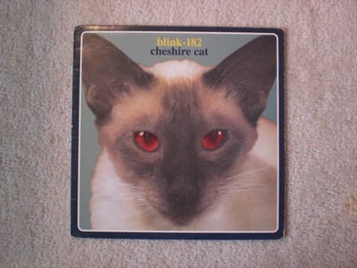 Blink 182 - Cheshire Cat 12" (Black Vinyl) *Red Eye Cover*