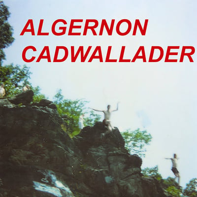 Algernon Cadwallader - Fun (Protagonist Music, Be Happy Records) • 7" • 2nd press • Gold • CD Included