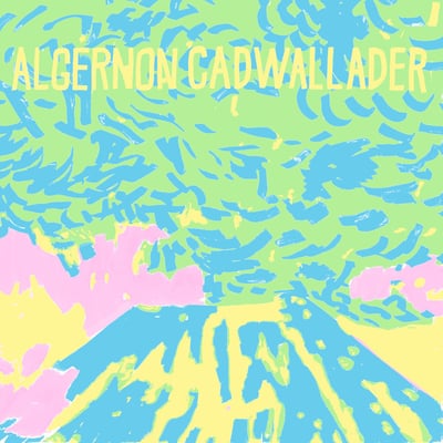 Algernon Cadwallader - Trying Not to Have a Thought (Saddle Creek) • 12" • 1st press • Bic Pink