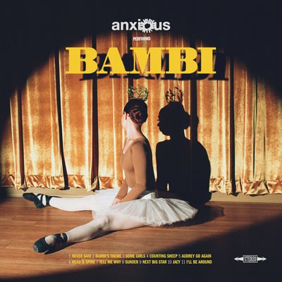 Anxious - Bambi (Run For Cover Records) • 12" • 1st press • Cloudy Clear Glitter • Devil Dog Distro Exclusive