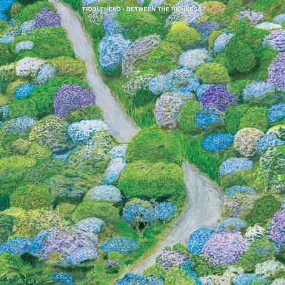 Fiddlehead - Between the Richness (Run For Cover Records) • 12" • 1st press • White & Blue Galaxy