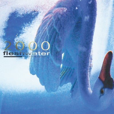 Fleshwater - 2000: In Search of the Endless Sky (Closed Casket Activities) • 12" • 1st press • Golden Pearl