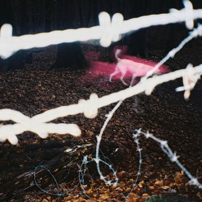 Hippie Trim - What Consumes Me (Supervillain Records) • 12" • 1st press • Dark Green, Black & White Marble