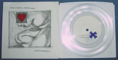 The Saddest Landscape - Cover your heart | Copter crash, cc-012 | clear