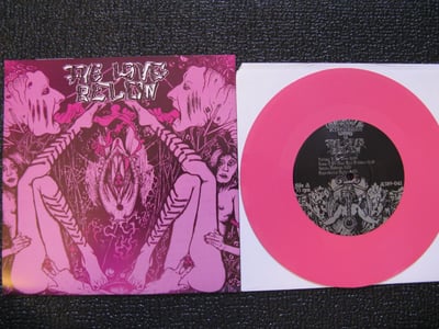 Love Below, The - Reproductive Rights (A389) Pink Vinyl Limited Edition Pre-Order Only /250