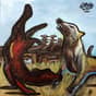 Collection photo
