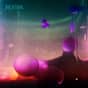 Collection photo