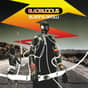 Collection photo