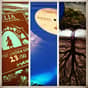 Collection photo