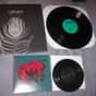 Collection photo